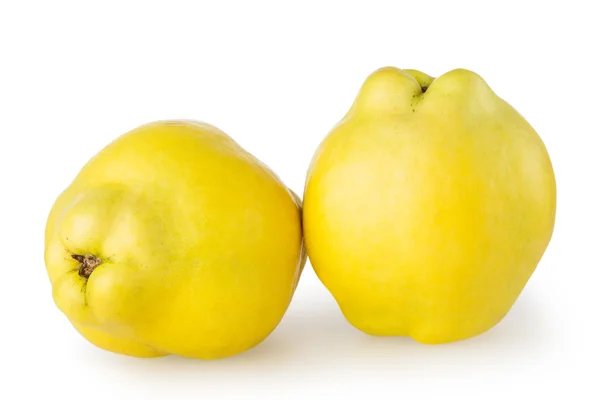 Айва
